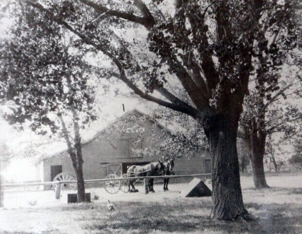 Historic photo of the Hesper Farm barn