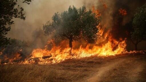 Hundreds of firefighters are tring to keep a fire west of Athens from approaching the outskirts of the capital