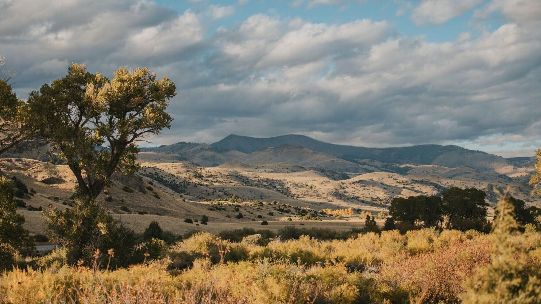 Ranch view