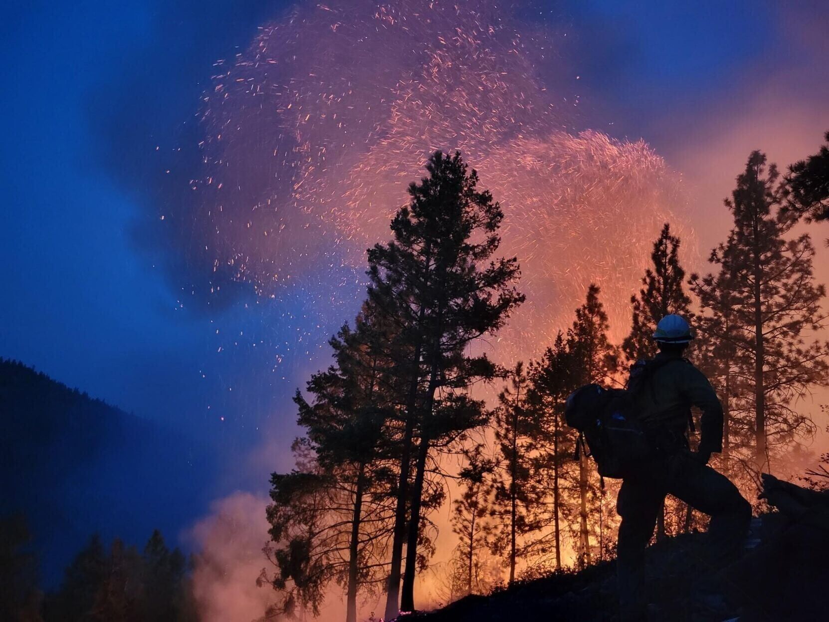 Elder fire