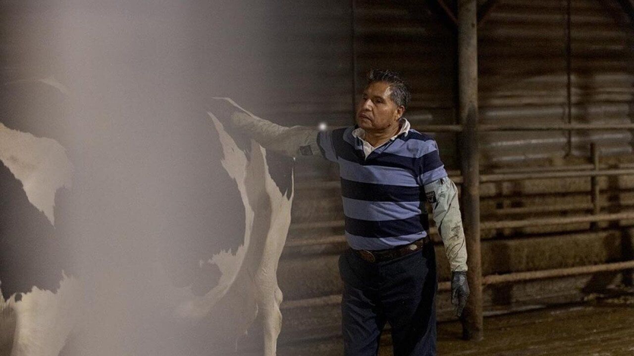 ‘They want to keep denying us our rights’: Workers in the dairy industry fight for basic labor protections