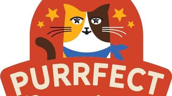 Purrfect Choice Awards: the inaugural virtual awards show honoring every cat’s unique personality, quirks, and undeniable charm, hosted by content creator and entrepreneur Wendy Ly.