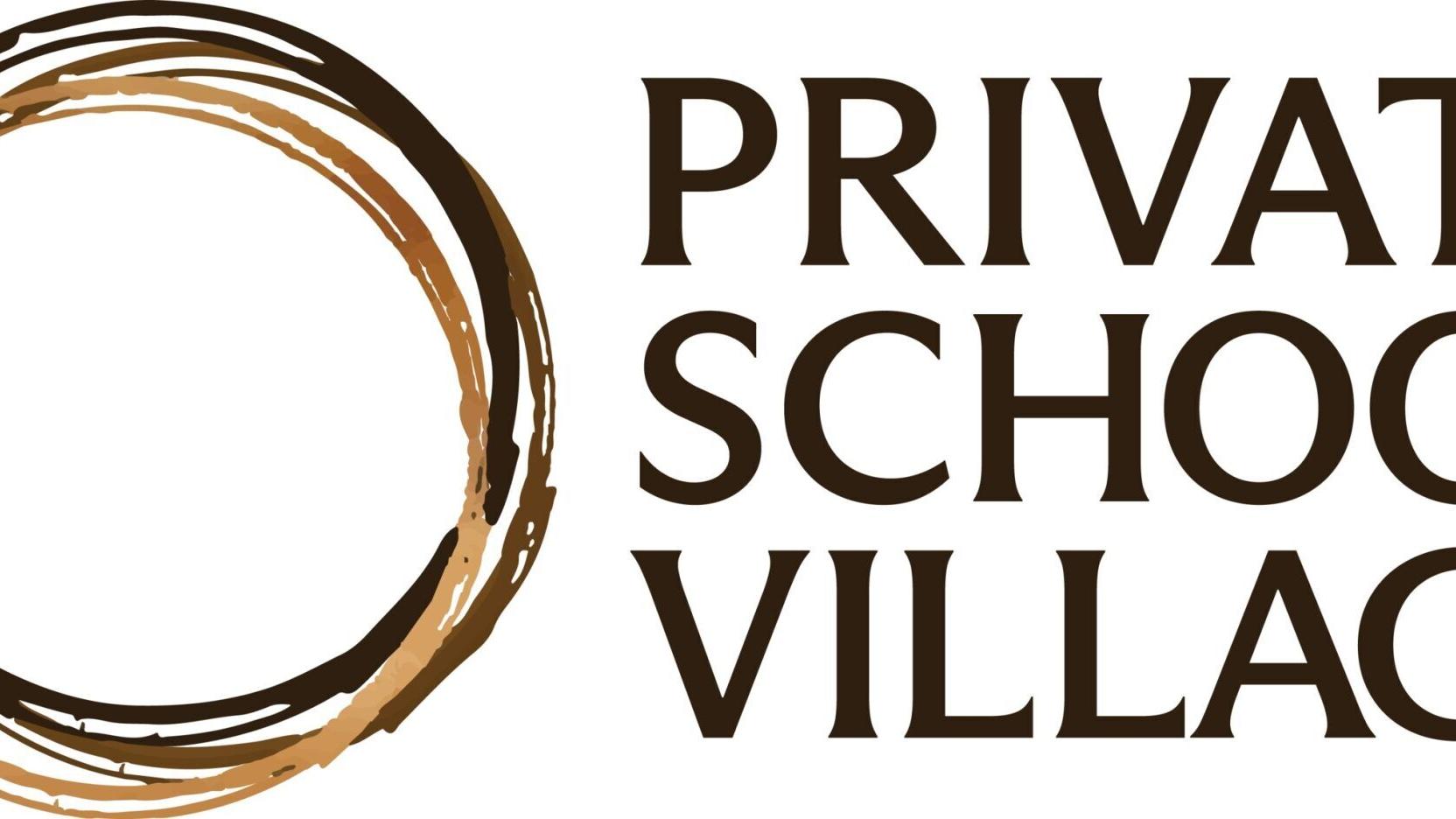 PSV Main Logo