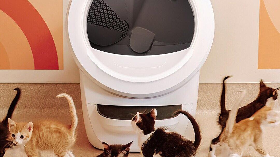 Whisker is covering adoption fees at Best Friends Animal Society locations nationwide throughout the month of June. Since the partnership began in 2023, Litter-Robot has helped support the adoption of more than 25,000 cats through Best Friends Animal So...