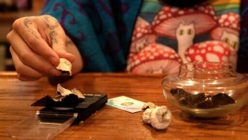 An American weighs magic mushrooms at a 'psychedelic church' in Colorado Springs, Colorado