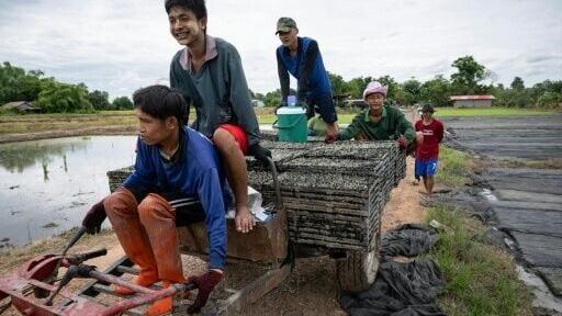 Burmese refugees have newfound job security after Thailand began permitting those living in camps to work legally and granting them non-citizen identity cards