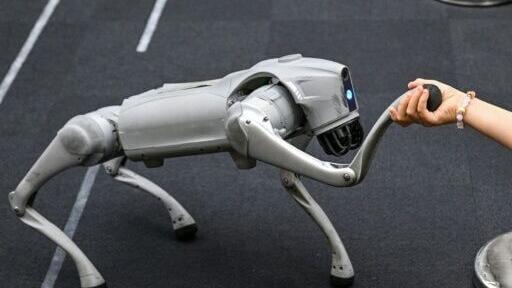 As the physical AI sector develops, it has become a new front in the US-China tech race
