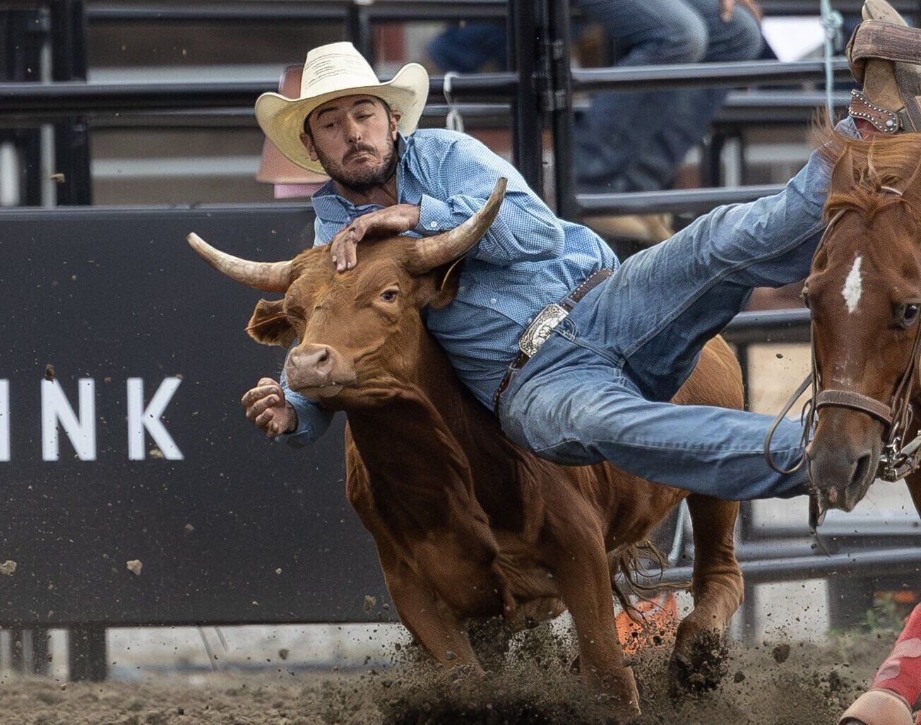 Rodeo Billings