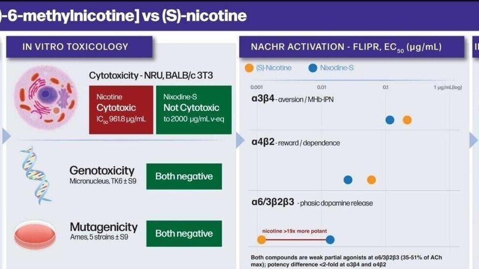 Nixodine-S [(S)-6-methylnicotine] vs (S)-nicotine
