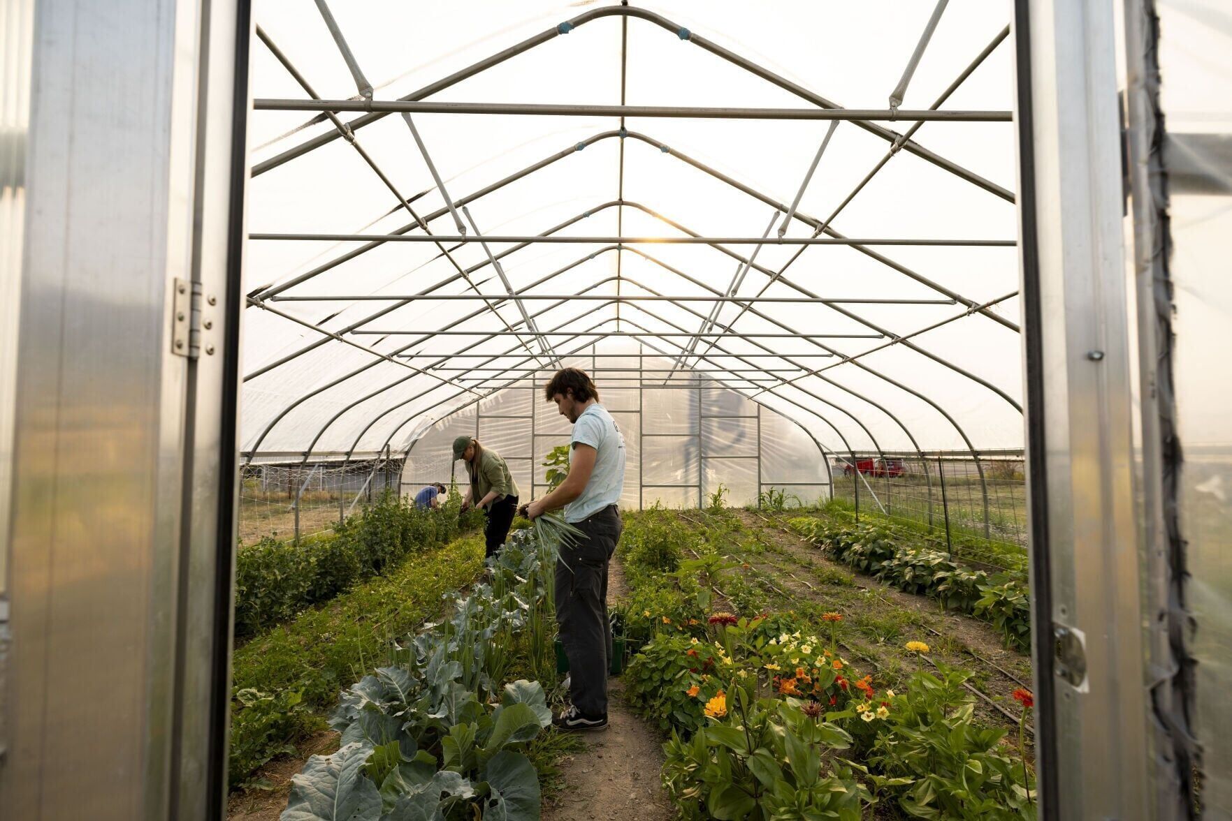 Butte Community Farm