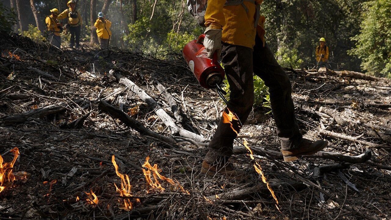 How controlled burns can help save taxpayers billions