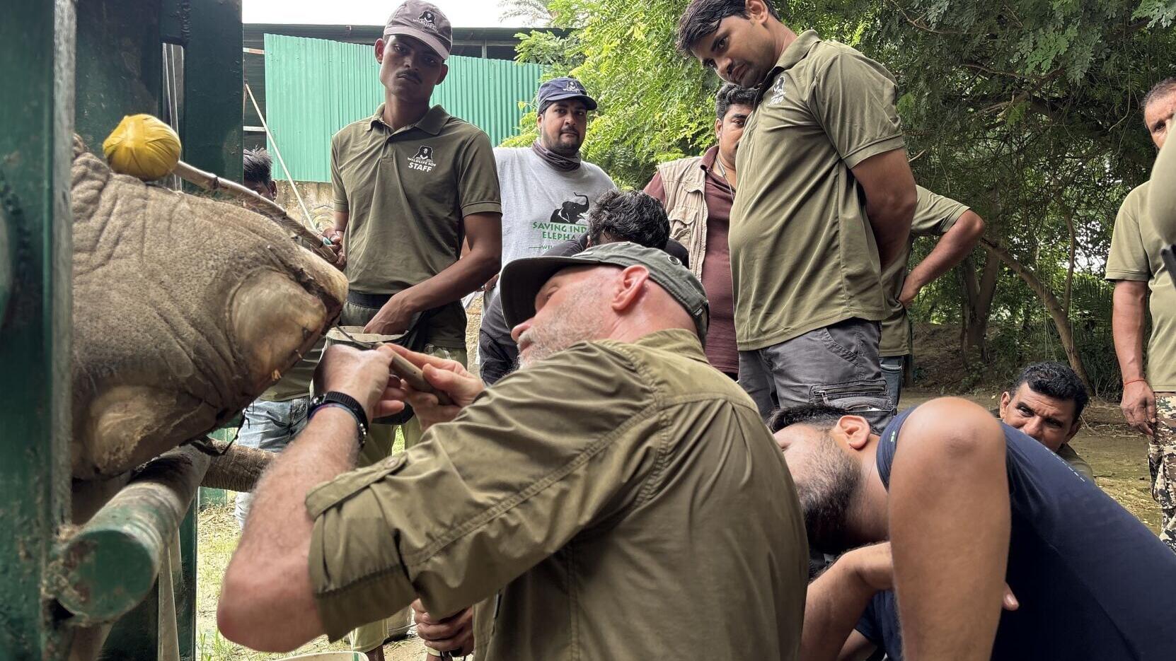 Members of McClure International Consulting and Wildlife SOS work together during a hands-on elephant foot care training session at the Elephant Conservation and Care Centre in India.