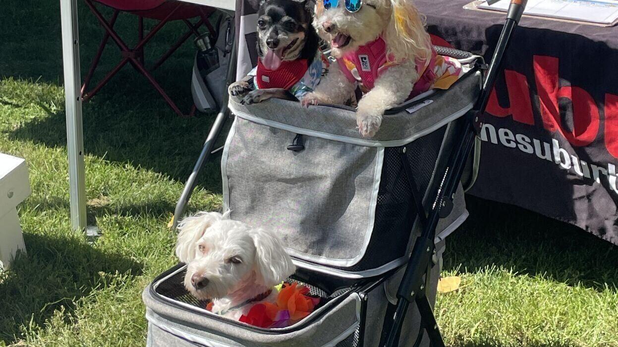 family day