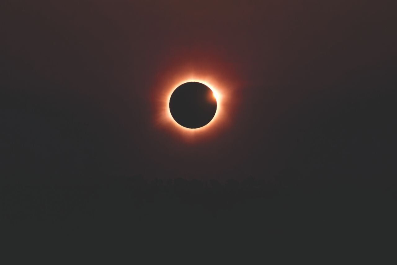 pexels-gleive-37045046