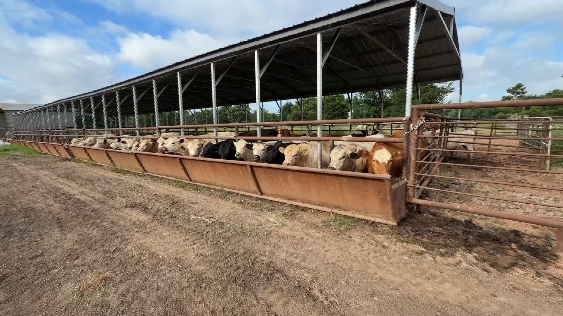 smith family farms