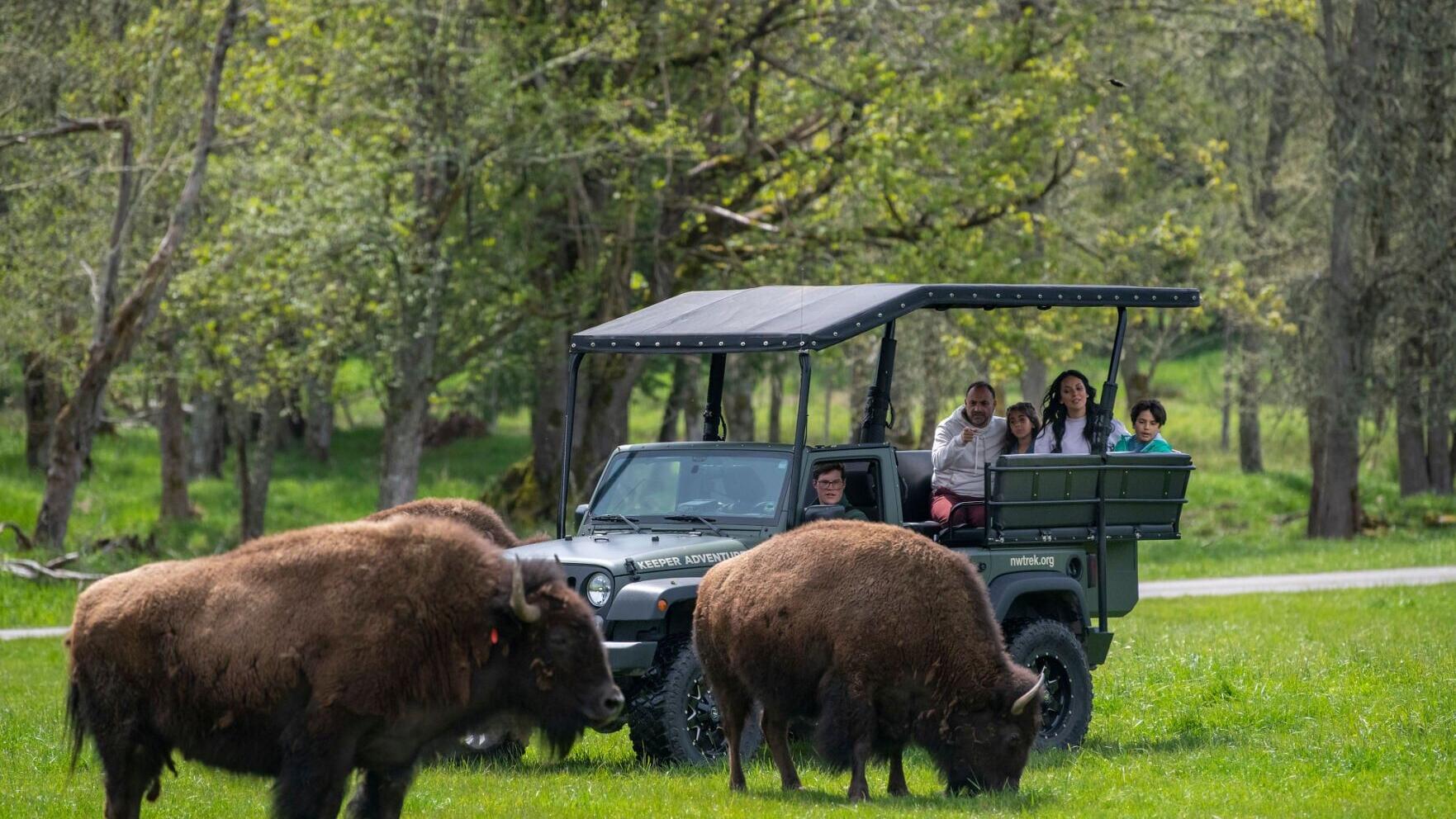 A family finds where the wild things are on a Northwest Trek Keeper Adventure Tour.