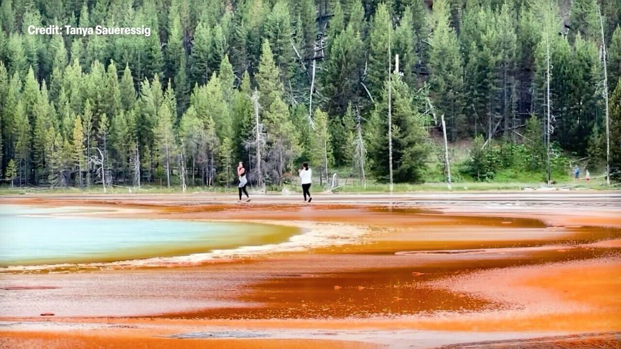 ‘Extremely selfish and disrespectful’ says woman who recorded Yellowstone visitors walking across geothermal pool