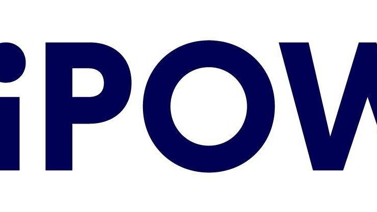 iPower Inc