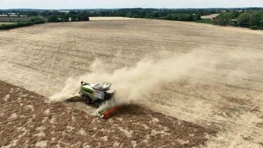 UK farmer hit with slashed crop yields after driest July on record