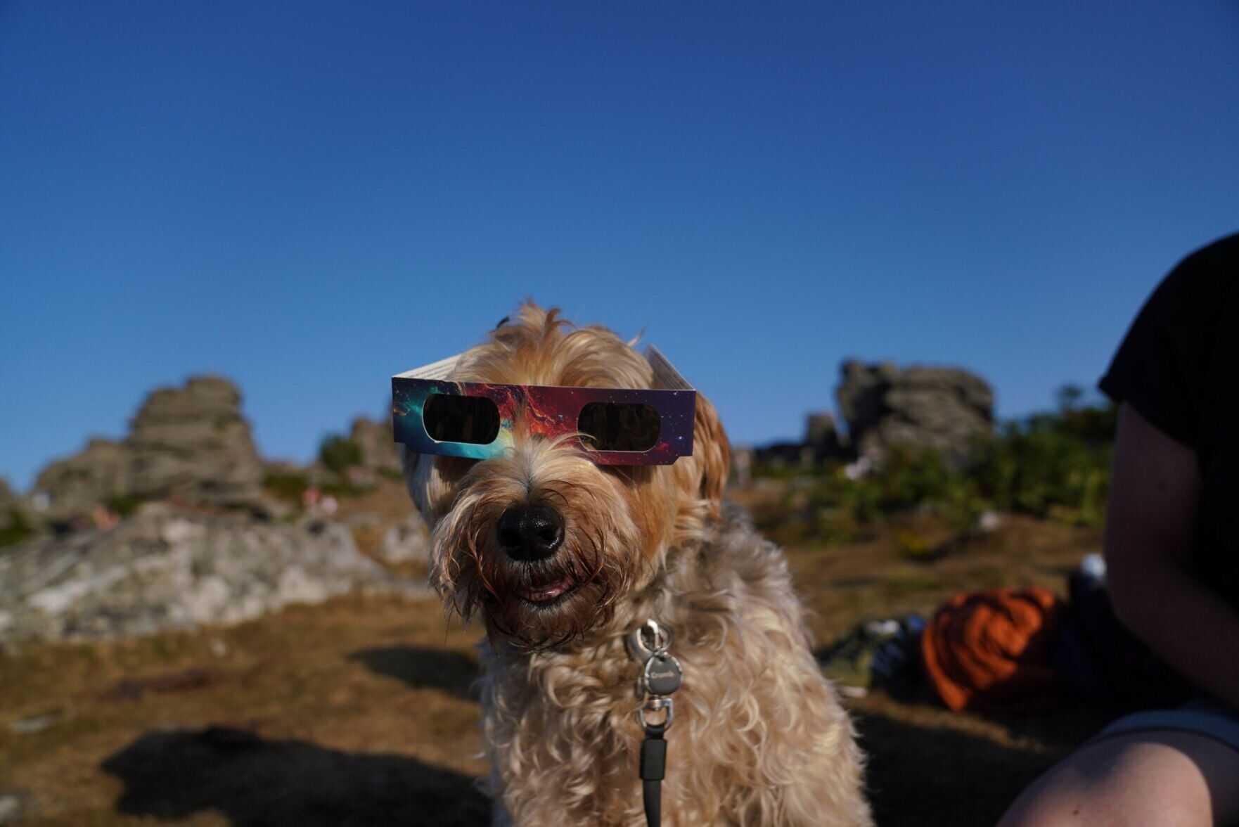 SWNS_DARTMOOR_SOLAR_20