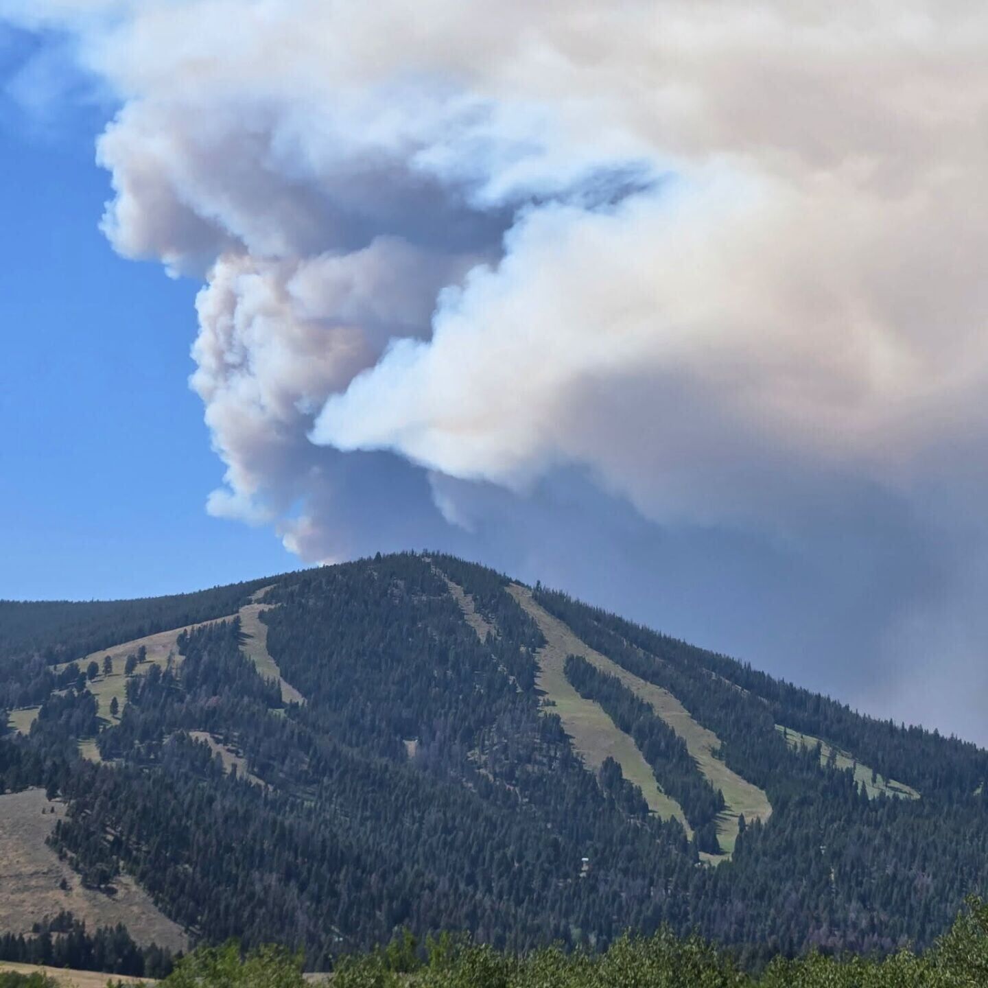 Bobcat Fire