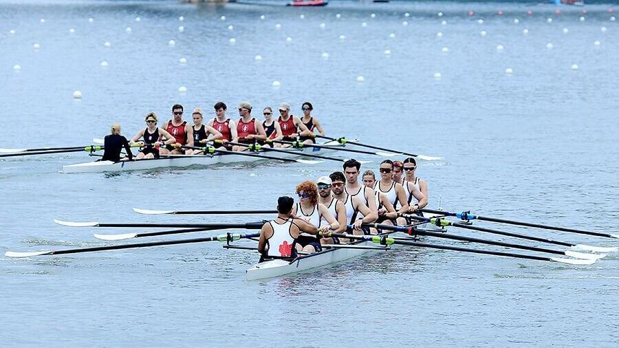 Rowers compete at 2026 Chengdu Open Rowing Regatta in Xinjin district of Chengdu, Sichuan province, on Oct 1. [Photo provided to chinadaily.com.cn]