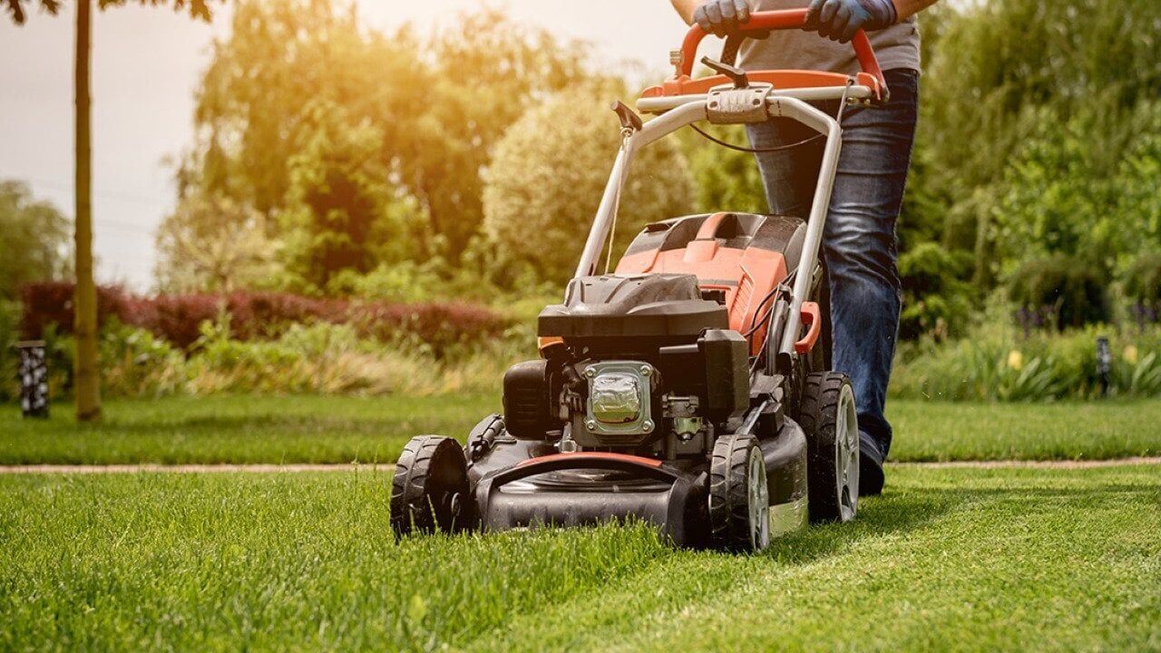 250 years of lawn care: How America grew its greatest obsession