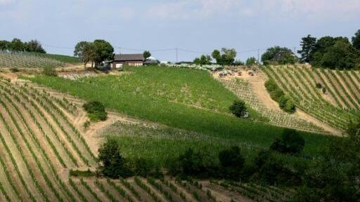 Vienna's "heuriger" wine taverns gained UNESCO listing in 2019