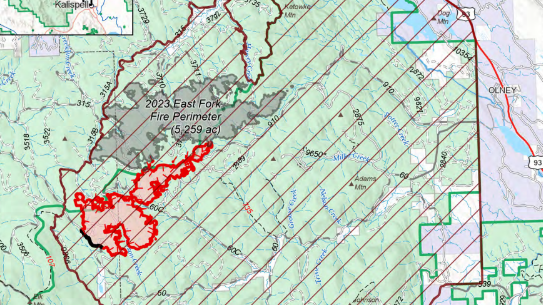 Skillet Fire 8-6
