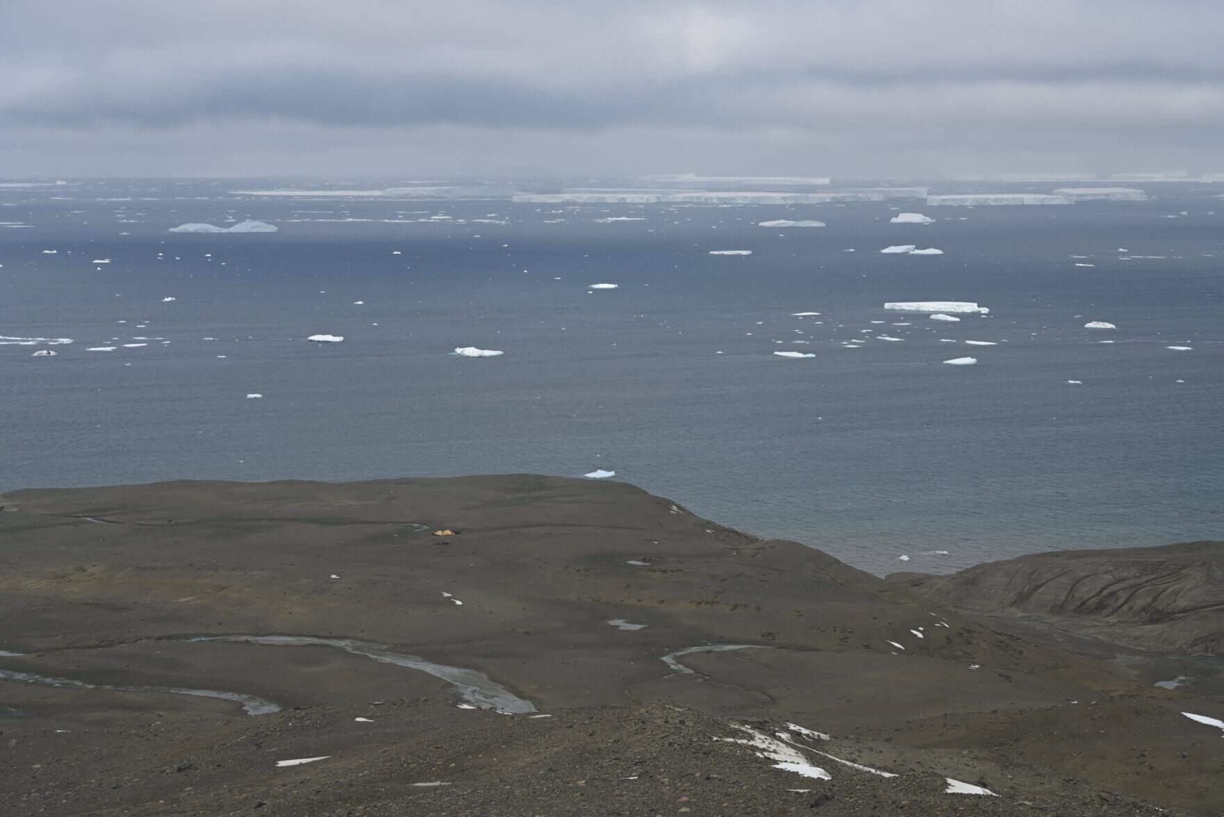 Ancient penguin fossils offer new window into Antarctica’s changing climate
