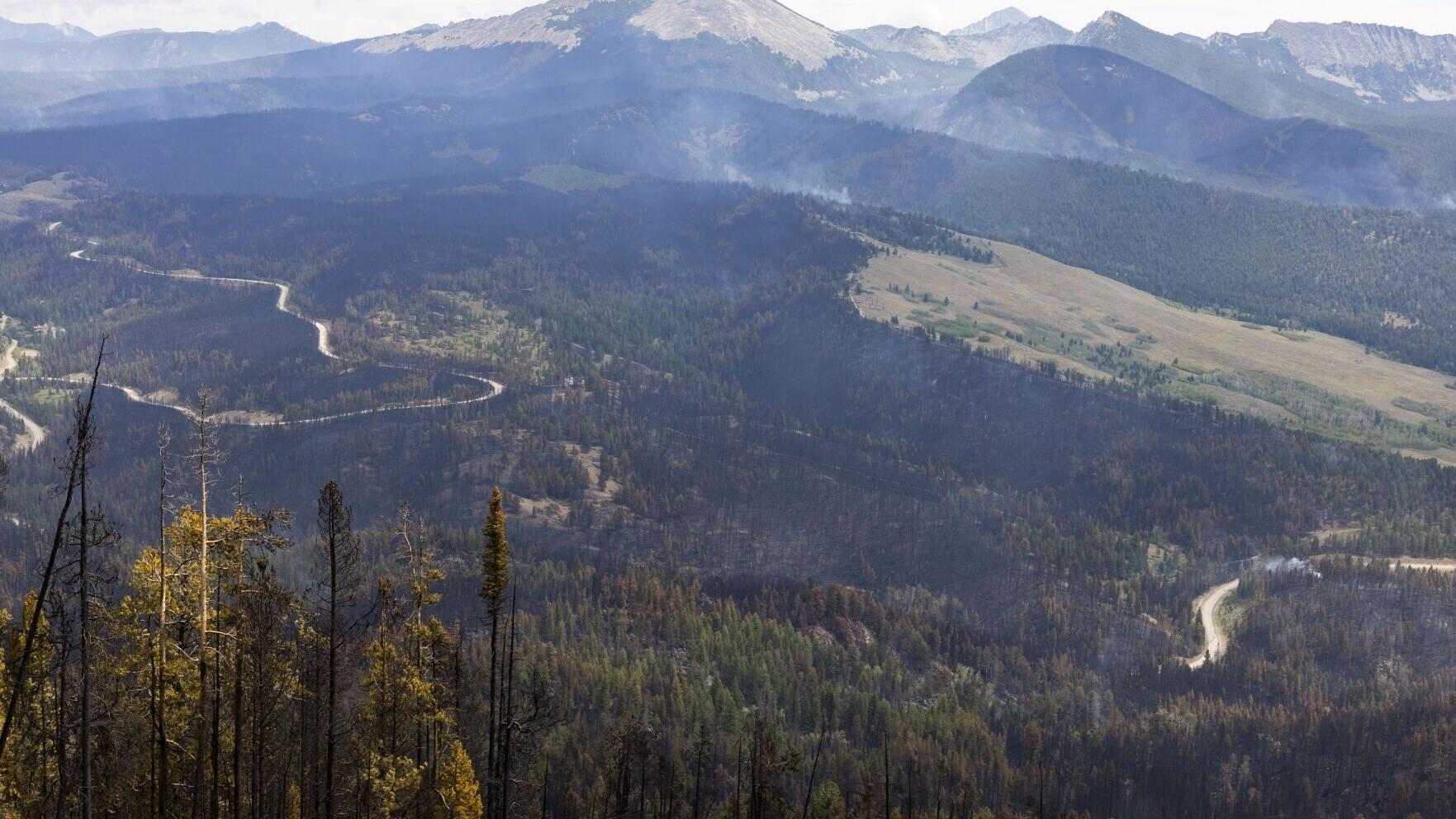 Fire damage from the Sand Creek fire