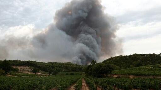 Winemakers are worried about the effect of the wildfires on this year's vintage