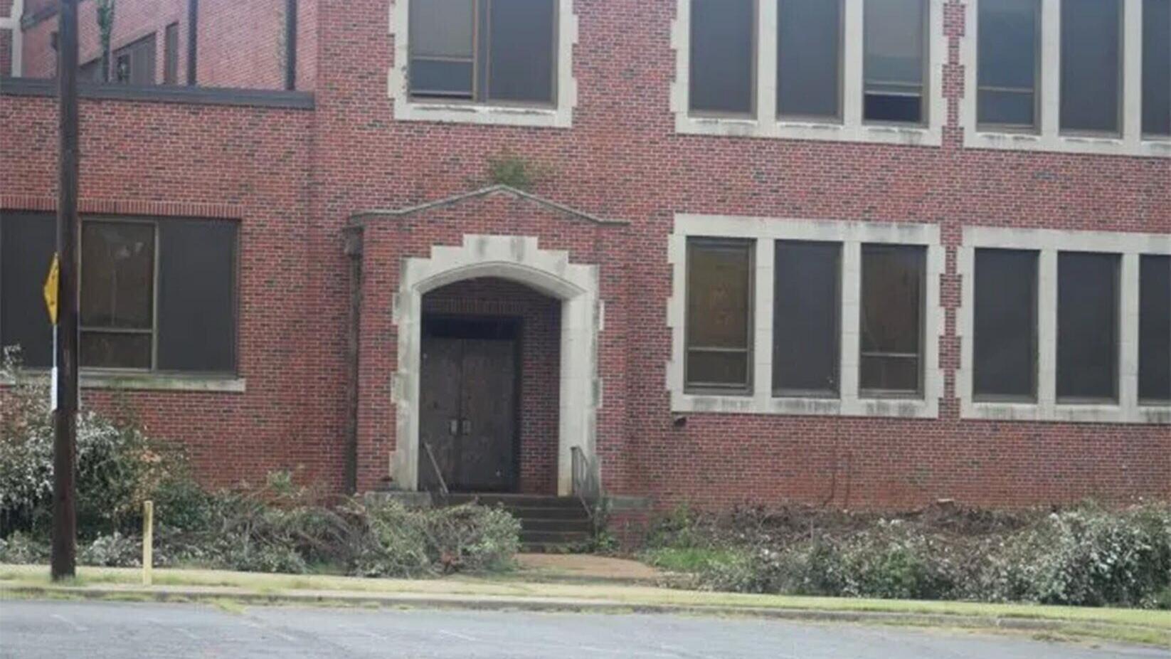 loft-tree-removal9-e1784498749953.jpg