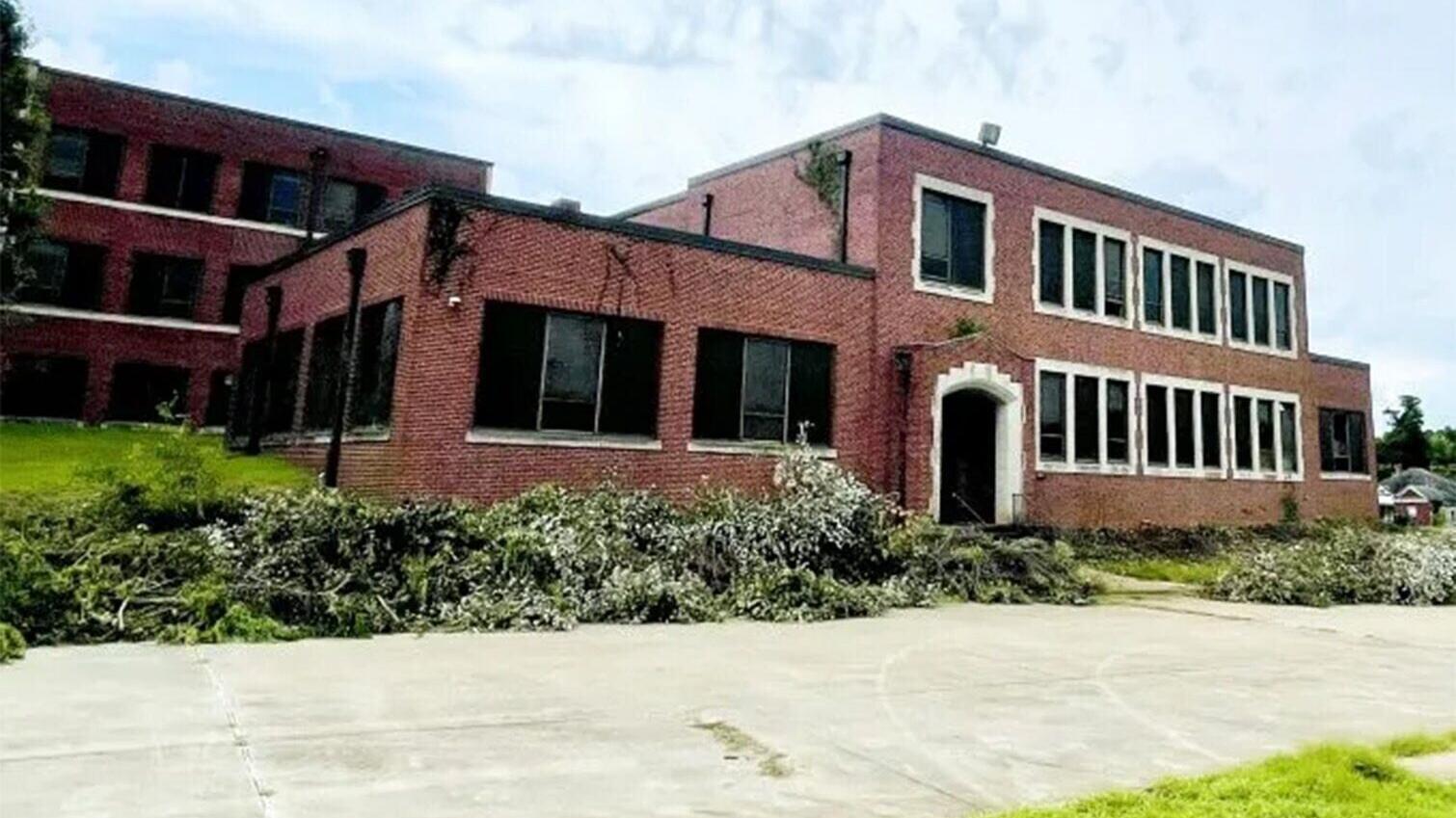 loft-tree-removal4-e1784498795271.jpg