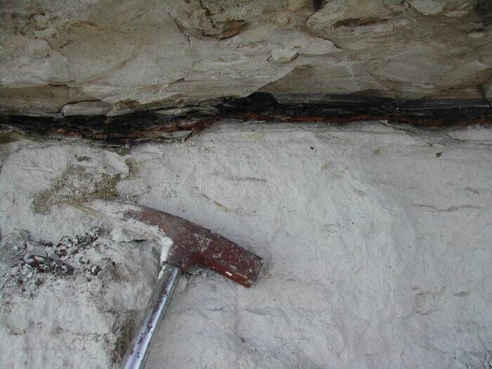Dinosaurs unlucky to be wiped out by “oddball” meteorite, say scientists