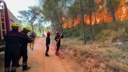 Wildfire rips through forest in the south of France
