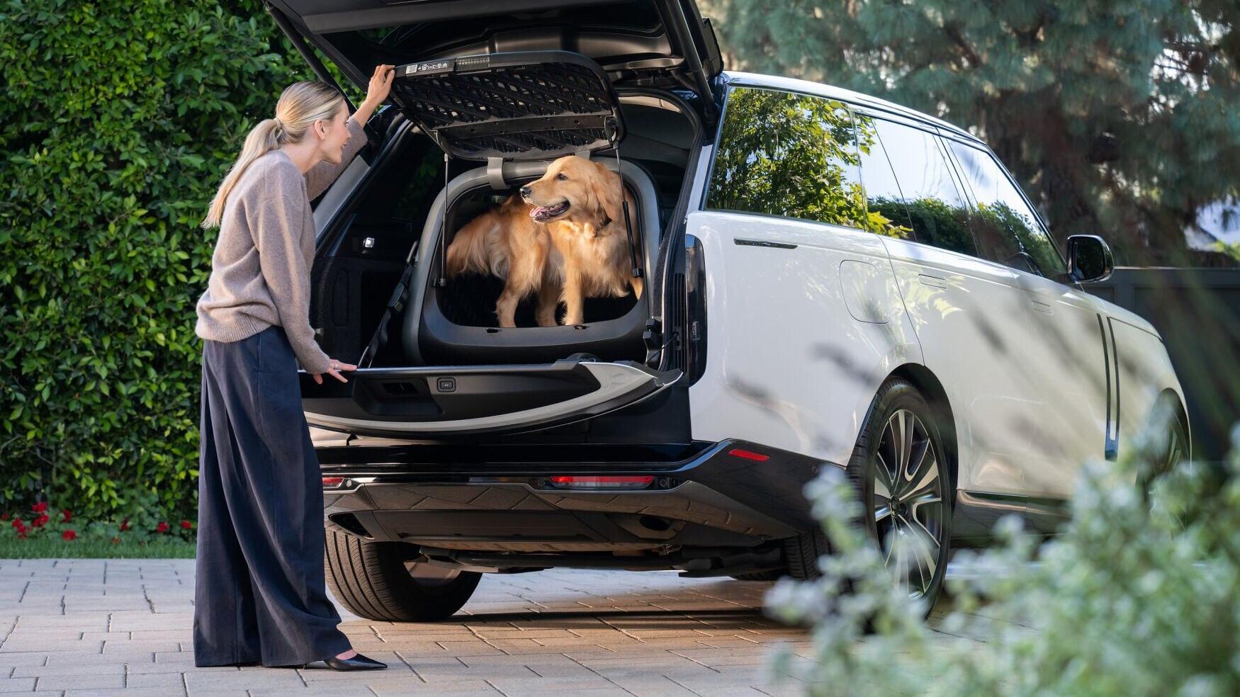 Everett Crash-Tested Pet Cargo Crate