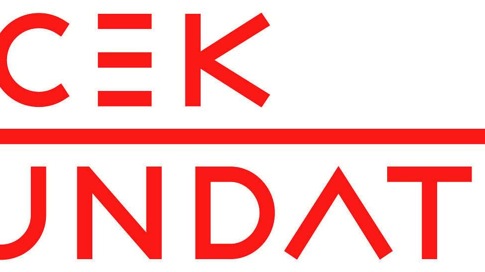 The Vilcek Foundation - Logo