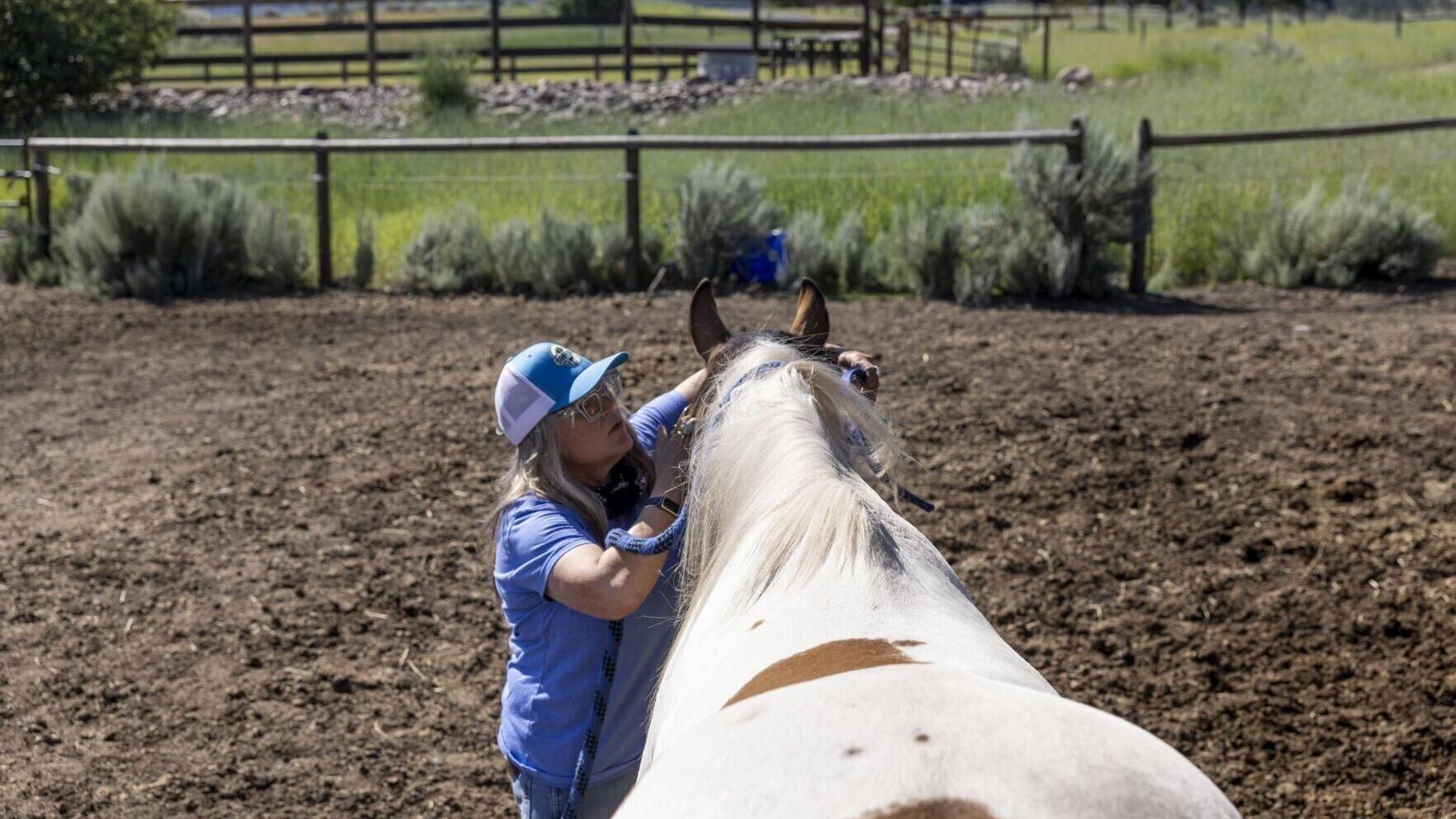 Sunridge Ranch Equine Therapy 05