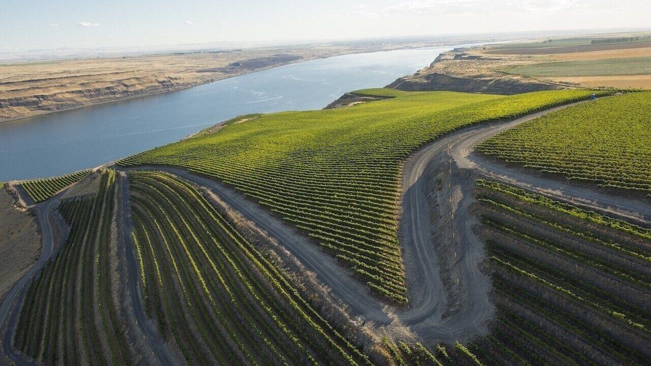 "The Benches Vineyard and the Columbia River in the Horse Heaven Hills AVA, Washington. (PRNewsfoto/The One Voice Council)