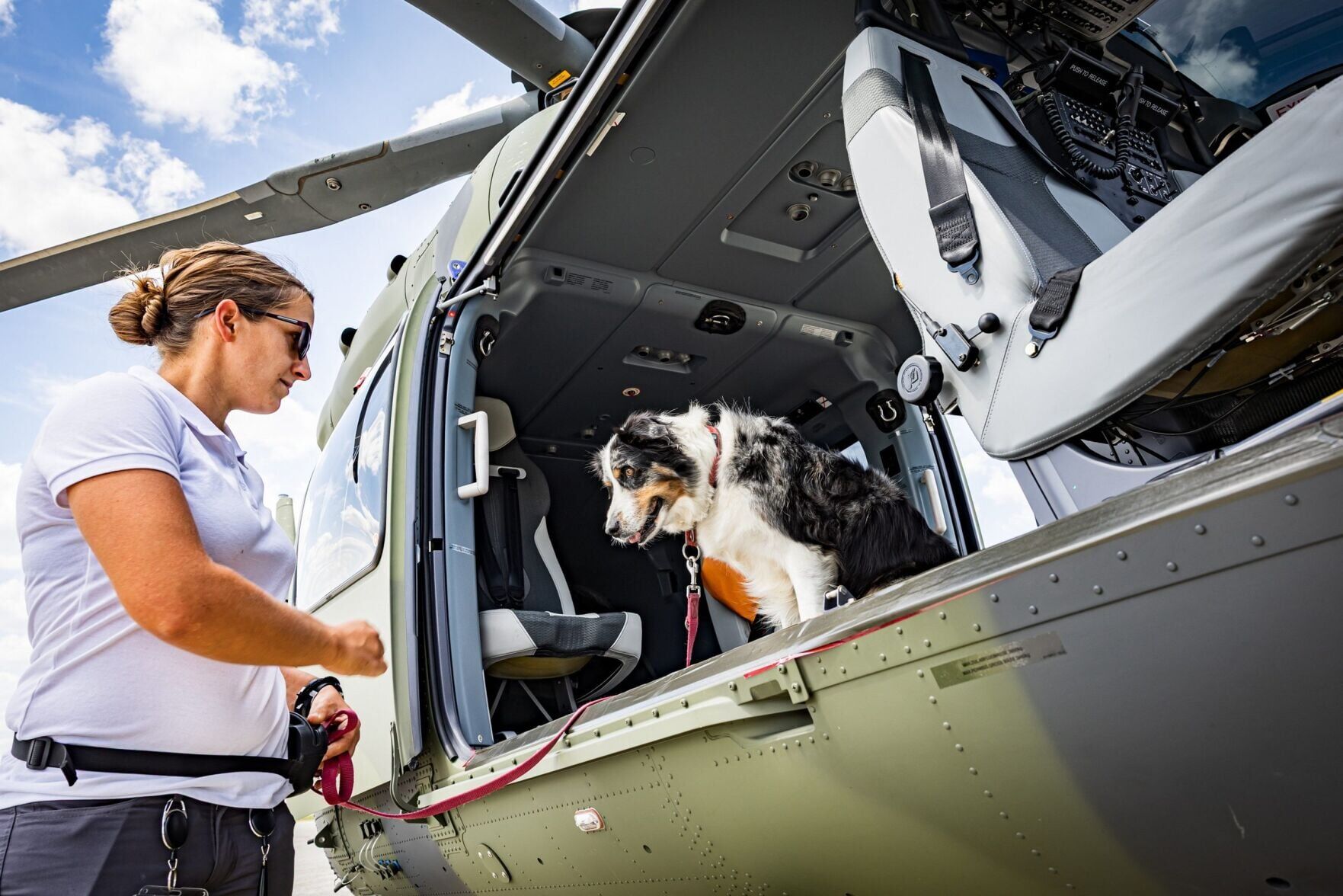 Rescue dogs overcome fear of helicopters during vital training