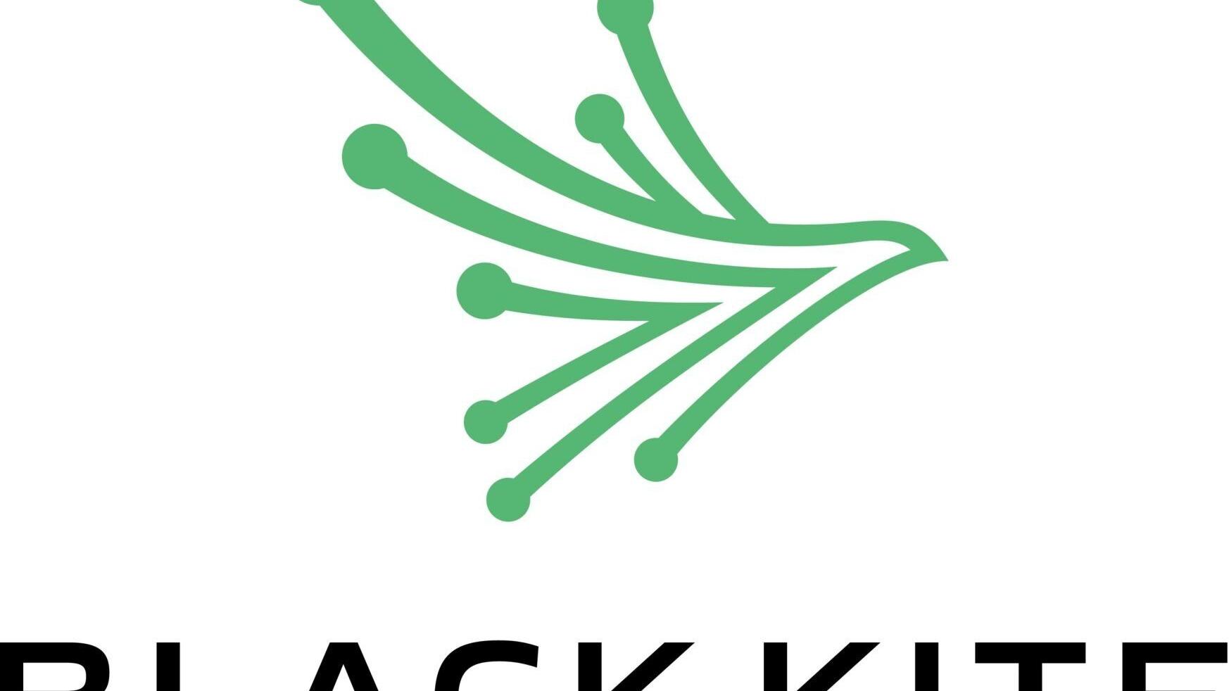 Black Kite Logo (PRNewsfoto/Black Kite)