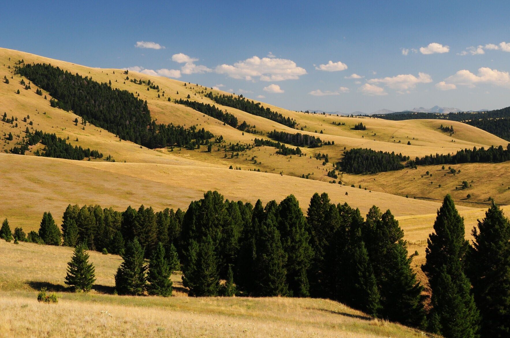 SOUTHWEST-FOOTHILLS-OF-THE-JOHN-LONG-MOUNTAINS---RICK-&amp;-SUSIE-GRAETZ.jpg