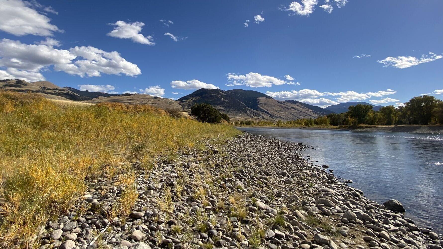 Upstream view