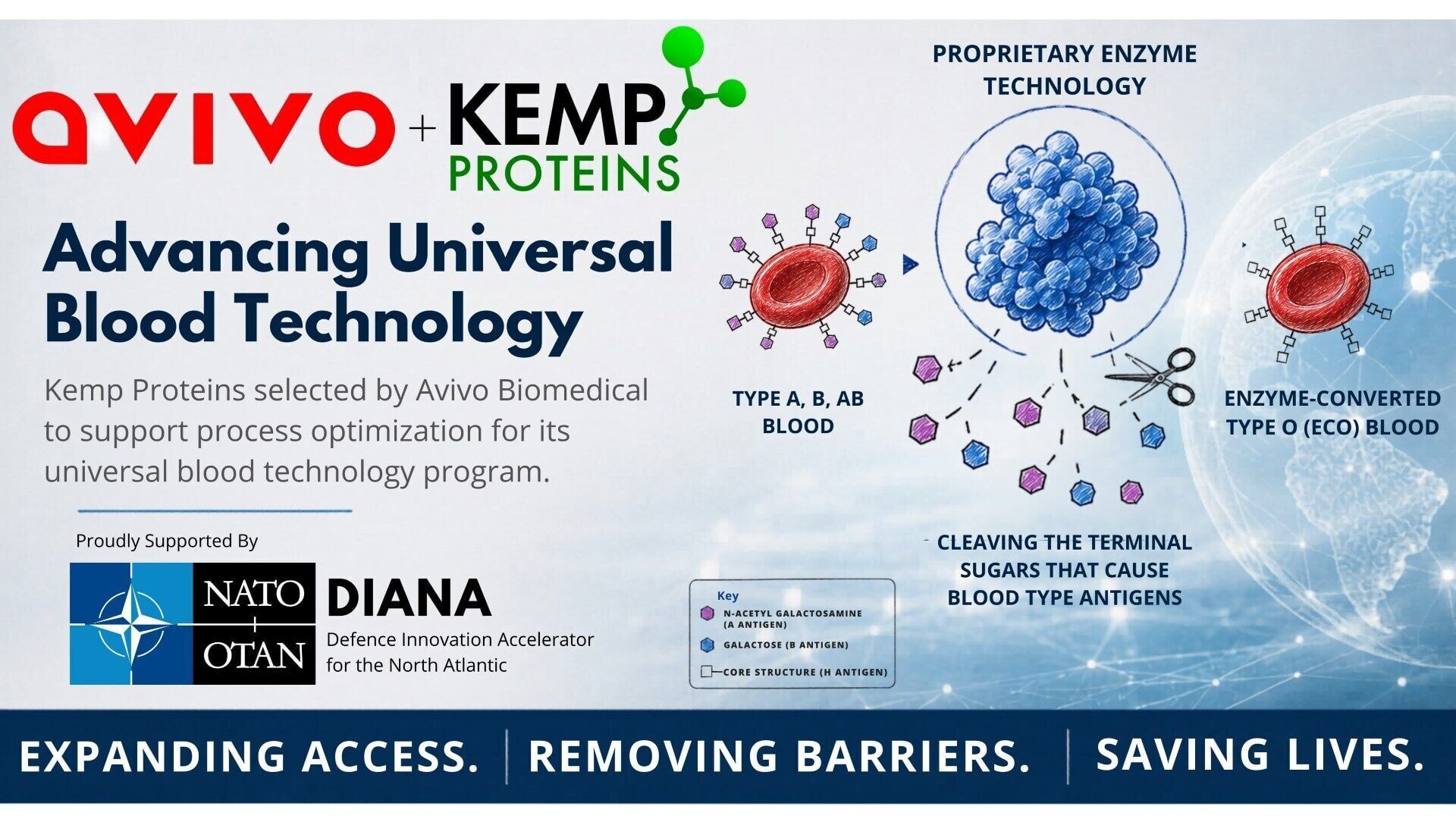 Kemp Proteins and Avivo Biomedical: Advancing Universal Blood Technology