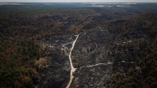One area of Fontainebleau forest was to remain off-limits as firefighters put out hotspots