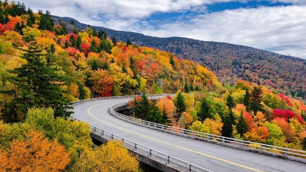 3. North Carolina