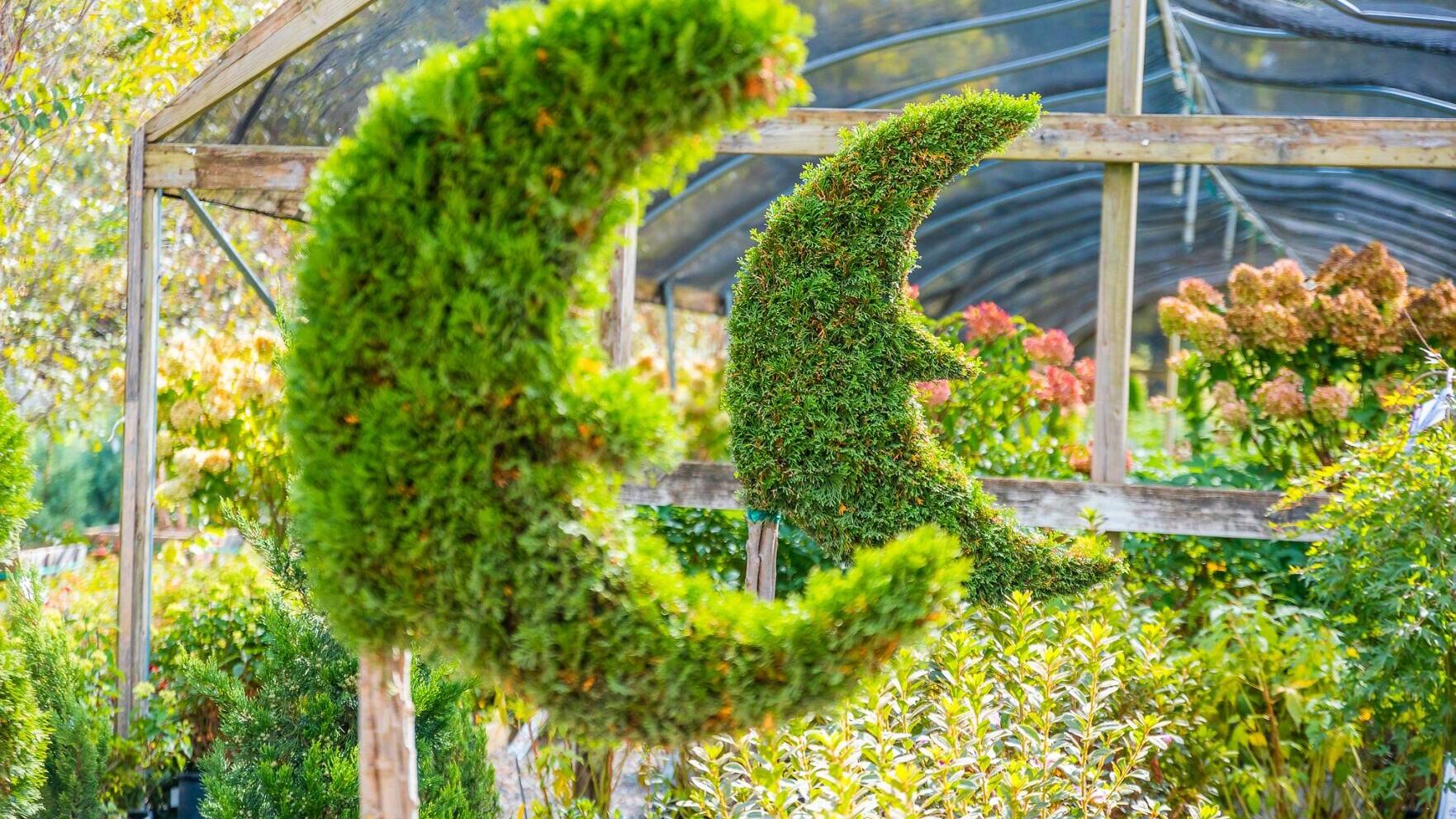 Founded in Phoenix, Arizona in 1995, Moon Valley Nurseries is the largest fully-integrated nursery and box tree grower in the United States, now operating more than 1,800 acres of farmland and more than 50 retail locations across Arizona, California, Ge...
