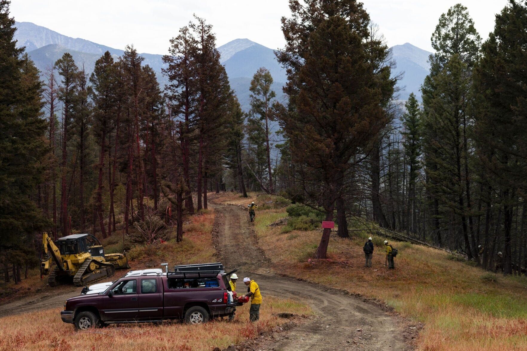 Fire damage from the Sand Creek fire at Maverick Mountain