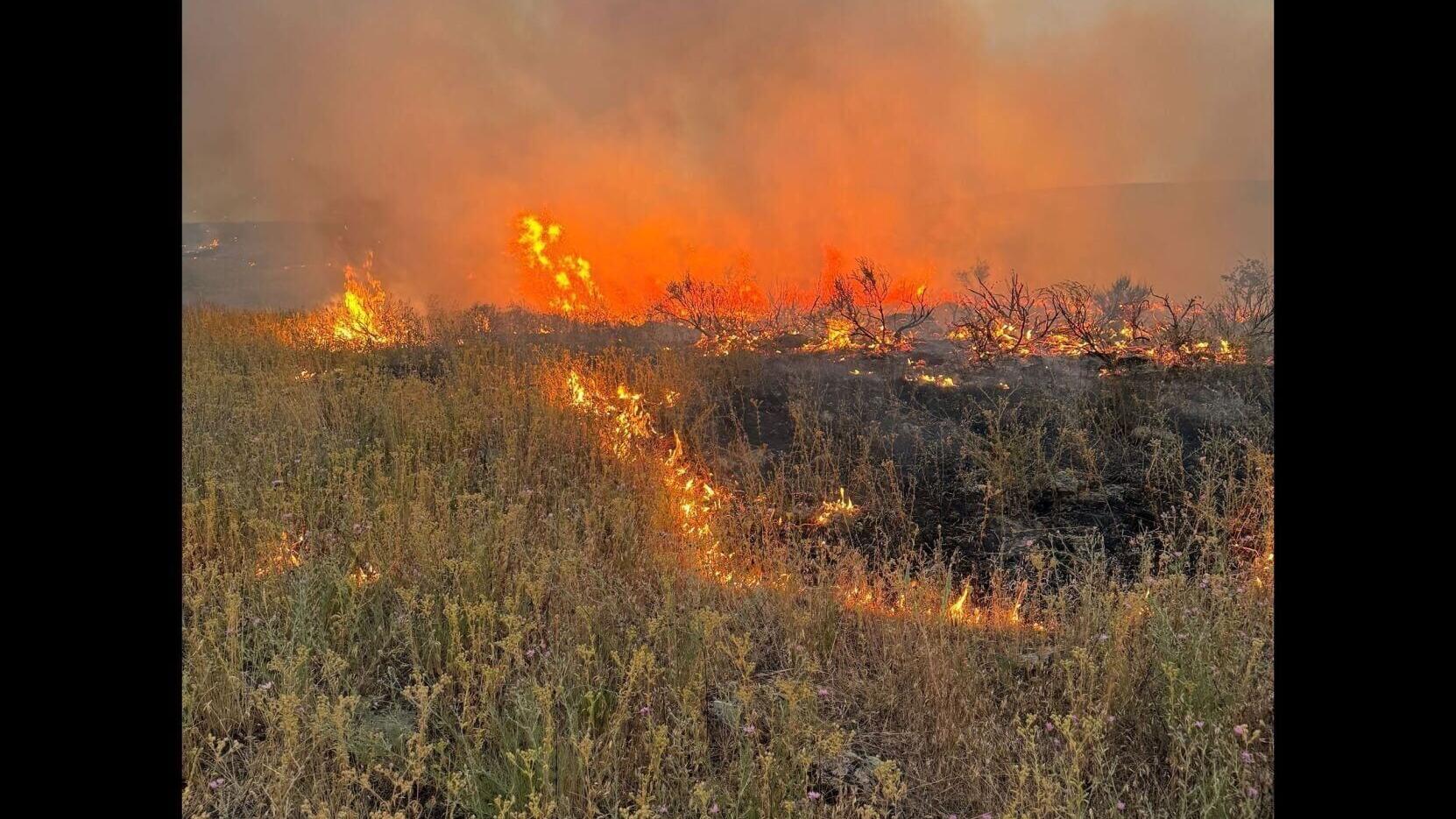 Dry conditions push Missoula to Stage II fire restrictions starting Friday, Aug. 7
